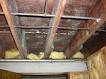 mold_on_joists